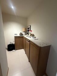The Antares (D14), Apartment #579184681